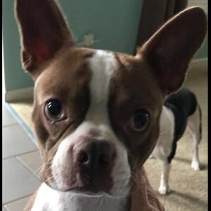 Meet your Posher, Jamie